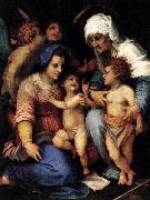 Andrea del Sarto Madonna and Child with St Elisabeth, the Infant St John, and Two Angels oil on canvas